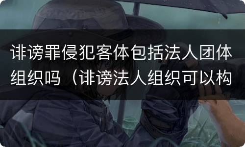 诽谤罪侵犯客体包括法人团体组织吗（诽谤法人组织可以构成什么罪）