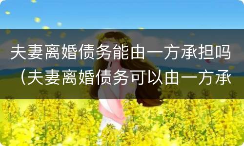 夫妻离婚债务能由一方承担吗（夫妻离婚债务可以由一方承担吗）