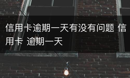 信用卡逾期一天有没有问题 信用卡 逾期一天
