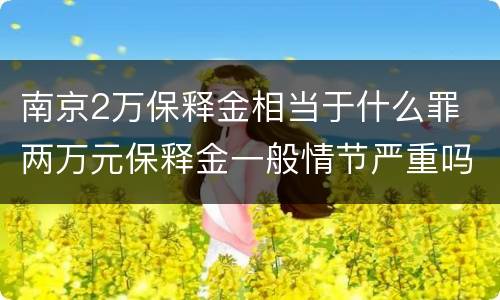 南京2万保释金相当于什么罪 两万元保释金一般情节严重吗