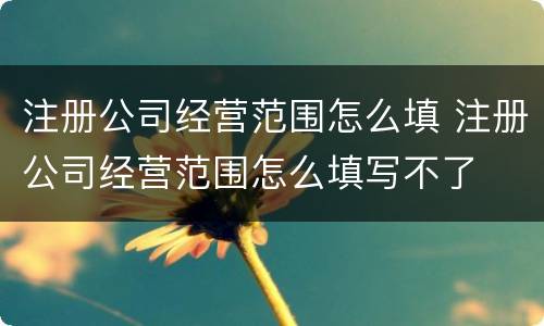注册公司经营范围怎么填 注册公司经营范围怎么填写不了