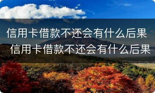 信用卡借款不还会有什么后果 信用卡借款不还会有什么后果嘛