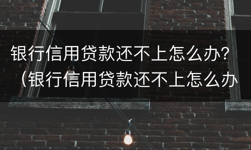 银行信用贷款还不上怎么办？（银行信用贷款还不上怎么办）