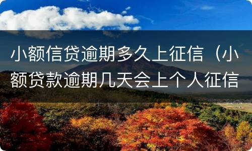 小额信贷逾期多久上征信（小额贷款逾期几天会上个人征信）