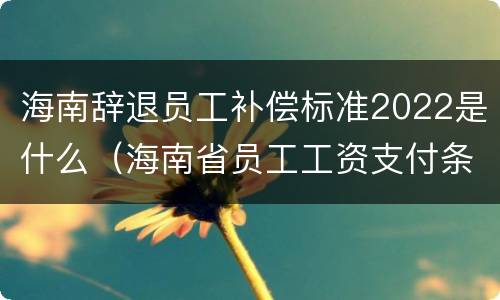 海南辞退员工补偿标准2022是什么（海南省员工工资支付条例）