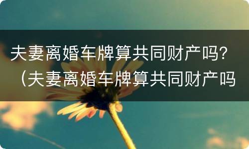 夫妻离婚车牌算共同财产吗？（夫妻离婚车牌算共同财产吗知乎）