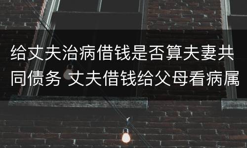 给丈夫治病借钱是否算夫妻共同债务 丈夫借钱给父母看病属不属于共同债务