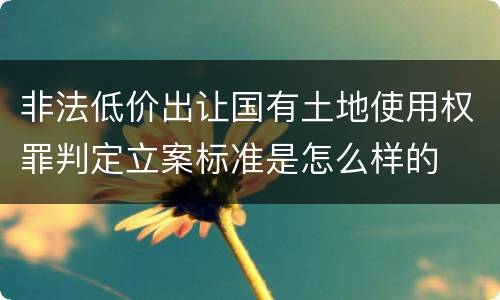 非法低价出让国有土地使用权罪判定立案标准是怎么样的