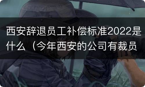 西安辞退员工补偿标准2022是什么（今年西安的公司有裁员吗）