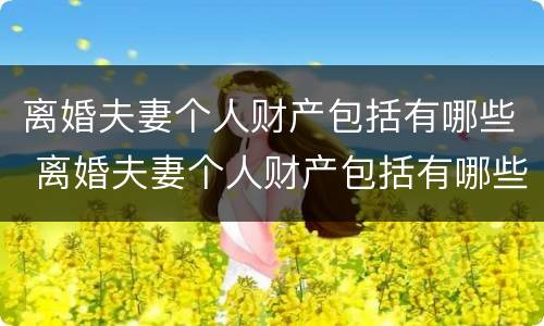 离婚夫妻个人财产包括有哪些 离婚夫妻个人财产包括有哪些