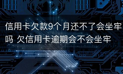 信用卡欠款9个月还不了会坐牢吗 欠信用卡逾期会不会坐牢
