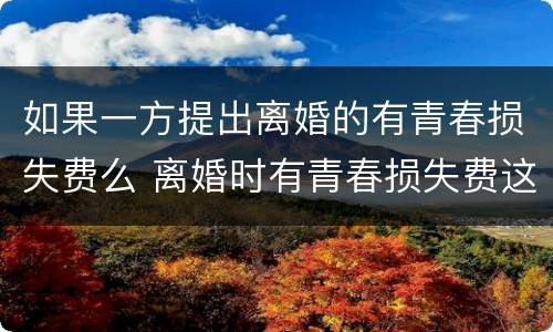 如果一方提出离婚的有青春损失费么 离婚时有青春损失费这一说法吗