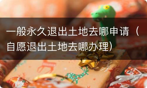 一般永久退出土地去哪申请（自愿退出土地去哪办理）