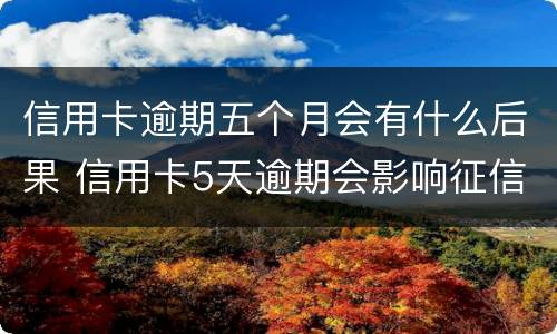 信用卡逾期五个月会有什么后果 信用卡5天逾期会影响征信吗