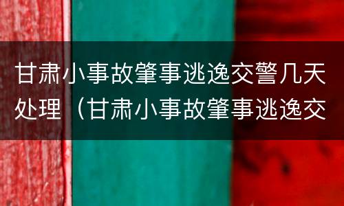 甘肃小事故肇事逃逸交警几天处理（甘肃小事故肇事逃逸交警几天处理完）