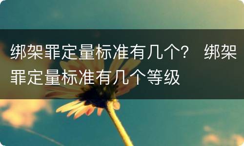 绑架罪定量标准有几个？ 绑架罪定量标准有几个等级