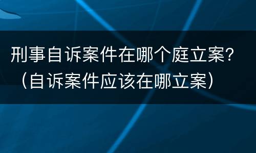 刑事自诉案件在哪个庭立案？（自诉案件应该在哪立案）