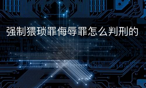 强制猥琐罪侮辱罪怎么判刑的
