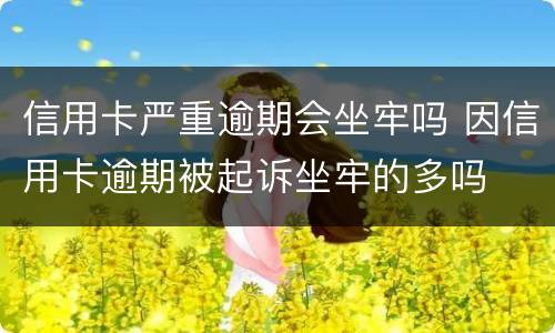 信用卡严重逾期会坐牢吗 因信用卡逾期被起诉坐牢的多吗