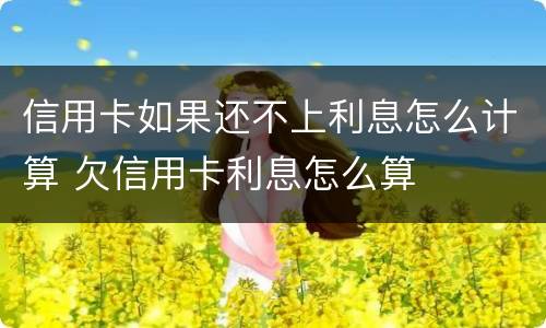 信用卡如果还不上利息怎么计算 欠信用卡利息怎么算