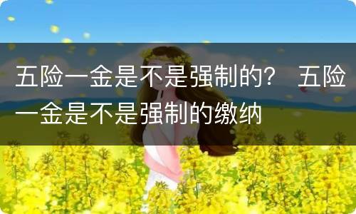 五险一金是不是强制的？ 五险一金是不是强制的缴纳