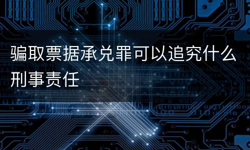 骗取票据承兑罪可以追究什么刑事责任