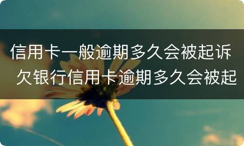 信用卡一般逾期多久会被起诉 欠银行信用卡逾期多久会被起诉