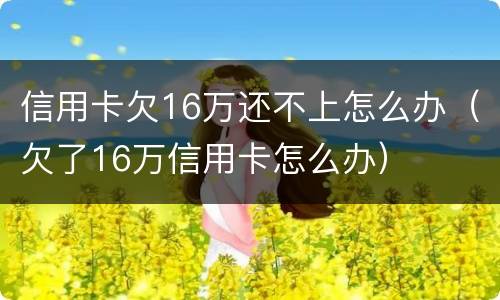 信用卡欠16万还不上怎么办（欠了16万信用卡怎么办）
