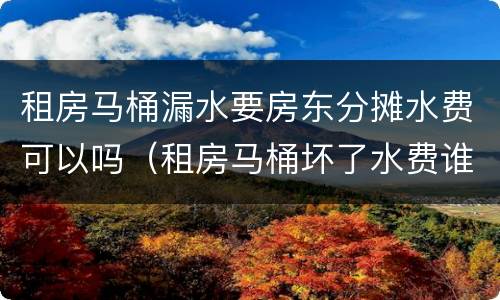 租房马桶漏水要房东分摊水费可以吗（租房马桶坏了水费谁承担）