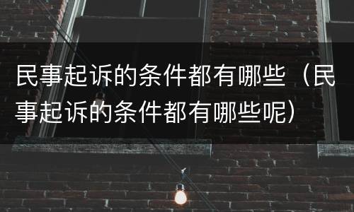 民事起诉的条件都有哪些（民事起诉的条件都有哪些呢）