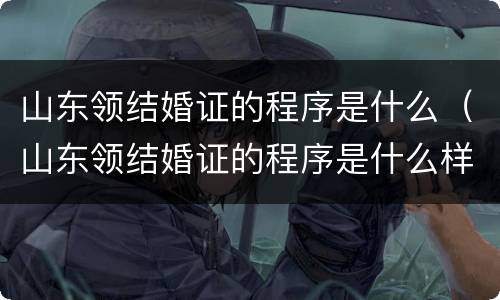 山东领结婚证的程序是什么（山东领结婚证的程序是什么样的）