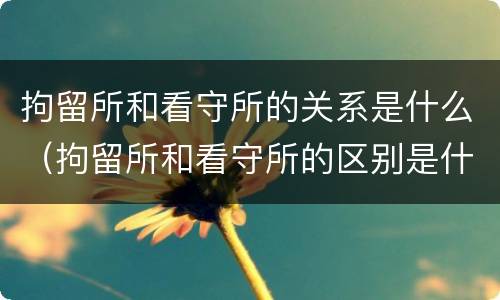 拘留所和看守所的关系是什么（拘留所和看守所的区别是什么_搜狗律师）