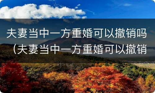 夫妻当中一方重婚可以撤销吗（夫妻当中一方重婚可以撤销吗法律规定）