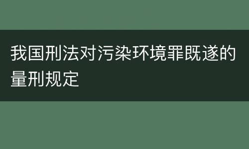 我国刑法对污染环境罪既遂的量刑规定
