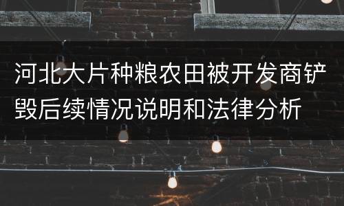 河北大片种粮农田被开发商铲毁后续情况说明和法律分析