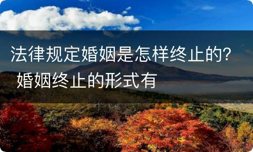法律规定婚姻是怎样终止的？ 婚姻终止的形式有