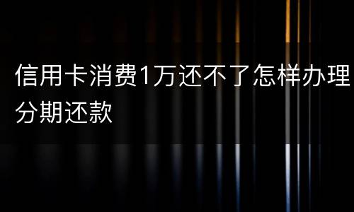 信用卡消费1万还不了怎样办理分期还款