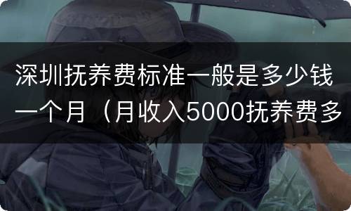 深圳抚养费标准一般是多少钱一个月（月收入5000抚养费多少）