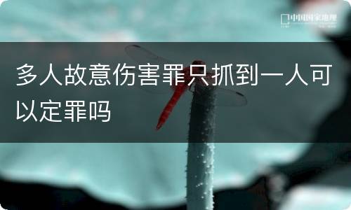 多人故意伤害罪只抓到一人可以定罪吗