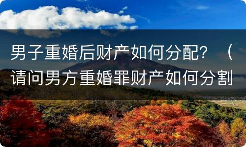 男子重婚后财产如何分配？（请问男方重婚罪财产如何分割）
