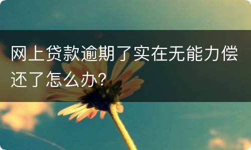 网上贷款逾期了实在无能力偿还了怎么办？
