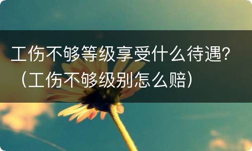 工伤不够等级享受什么待遇？（工伤不够级别怎么赔）