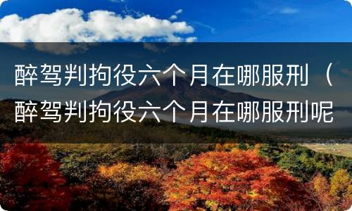 醉驾判拘役六个月在哪服刑（醉驾判拘役六个月在哪服刑呢）