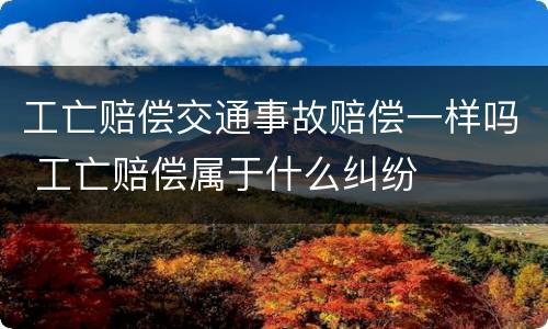 工亡赔偿交通事故赔偿一样吗 工亡赔偿属于什么纠纷