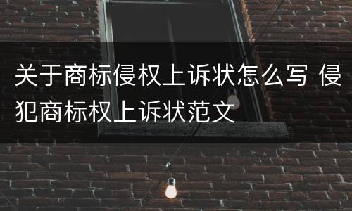 关于商标侵权上诉状怎么写 侵犯商标权上诉状范文