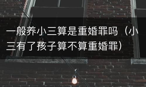 一般养小三算是重婚罪吗（小三有了孩子算不算重婚罪）