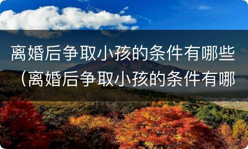 离婚后争取小孩的条件有哪些（离婚后争取小孩的条件有哪些问题）