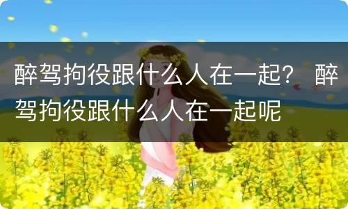 醉驾拘役跟什么人在一起？ 醉驾拘役跟什么人在一起呢
