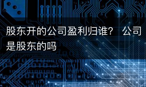 股东开的公司盈利归谁？ 公司是股东的吗