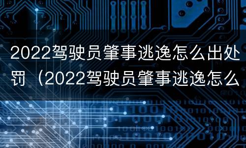 2022驾驶员肇事逃逸怎么出处罚（2022驾驶员肇事逃逸怎么出处罚单）